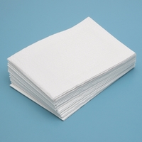 Disposable Tissue Towels Economy 2-Ply White Each